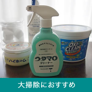 大掃除におすすめの掃除道具や洗剤 キッチンやお風呂場掃除に役立つグッズをブログでレポート