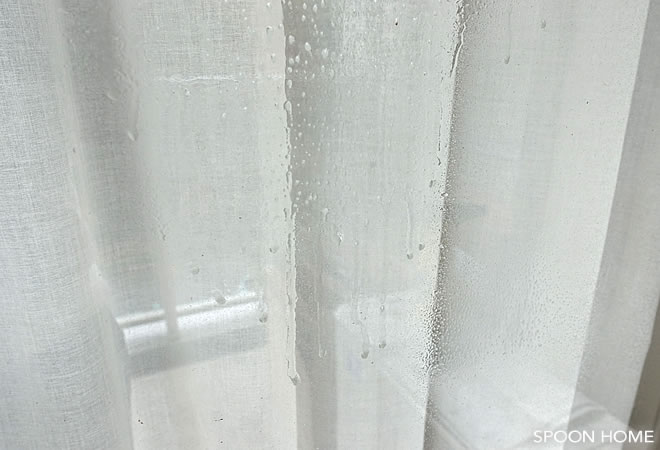 ケルヒャーの窓用バキュームクリーナーWV1プラスの掃除ブログ画像
