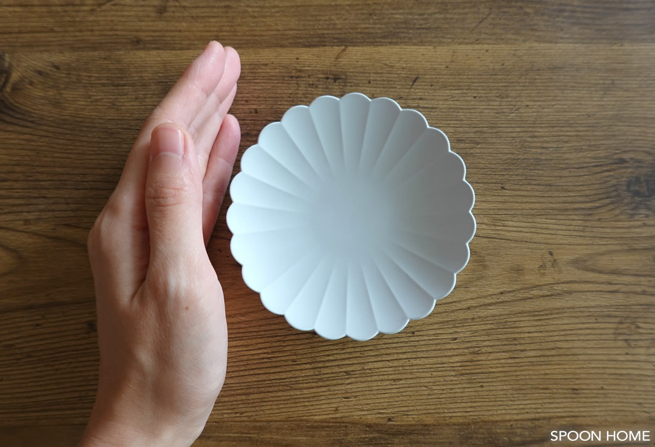 1616 arita japan・TYパレスプレートのサイズ感・盛り付けのブログ画像