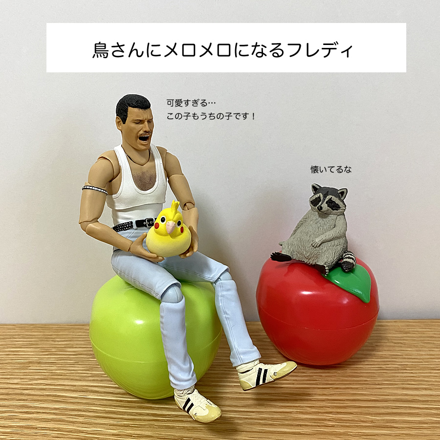 ガチャガチャ「ことりんご ちいさな小鳥とりんごのケース」の画像
