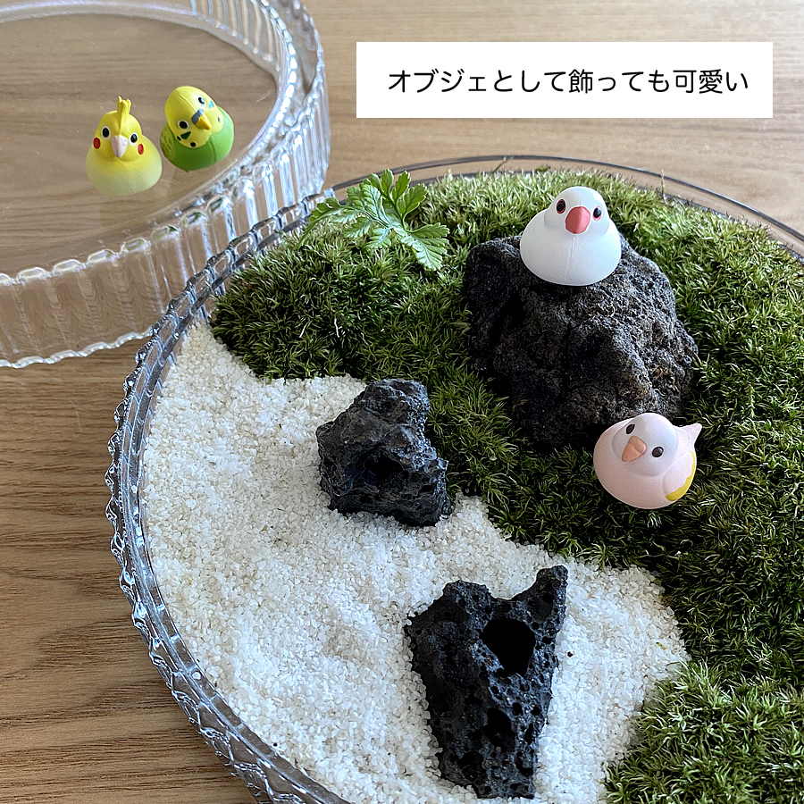 ガチャガチャ「ことりんご ちいさな小鳥とりんごのケース」の画像