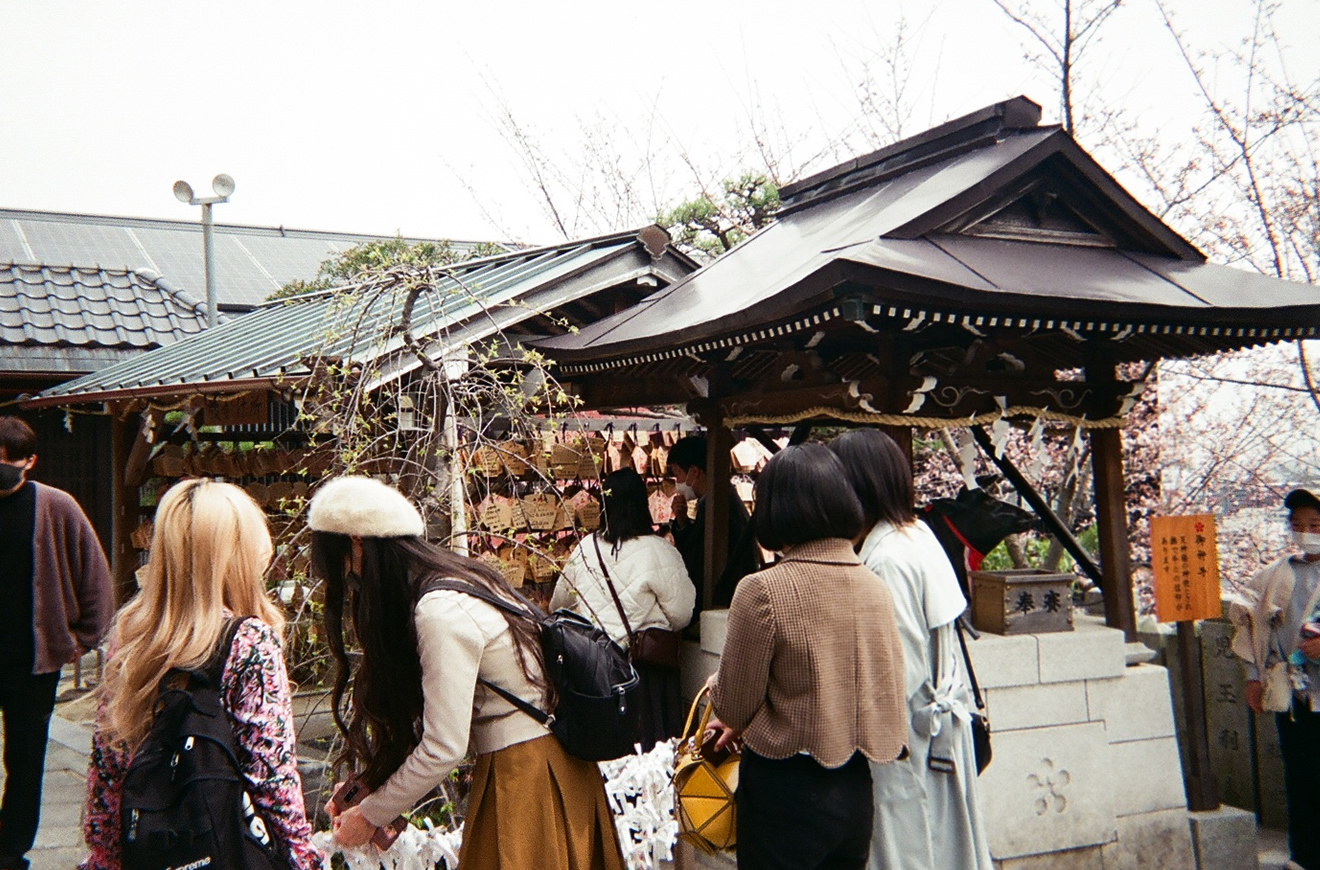 カメラ・写ルンですの撮影例の画像