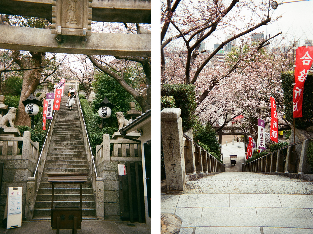 カメラ・写ルンですの撮影例の画像