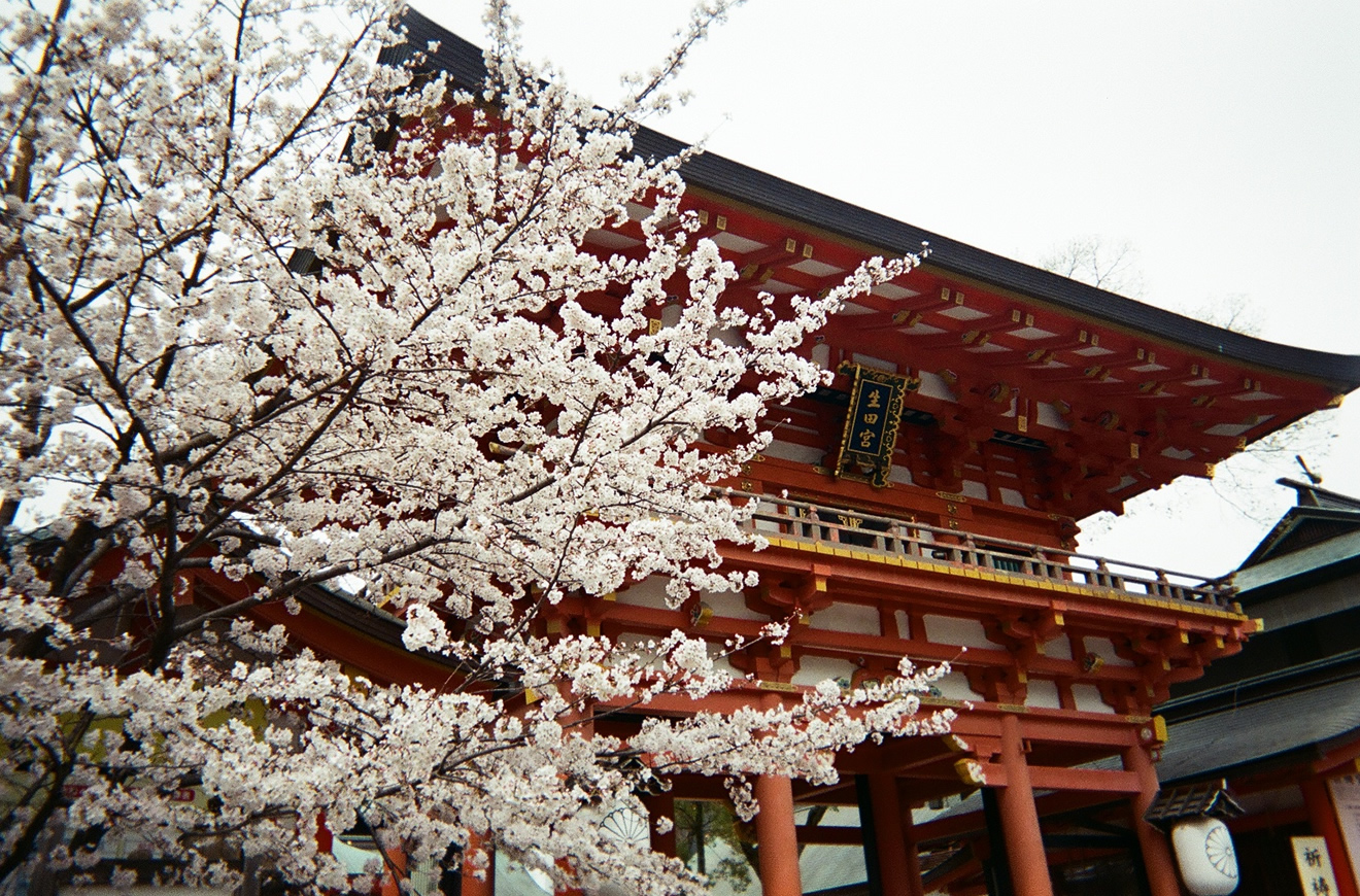 カメラ・写ルンですの撮影例の画像