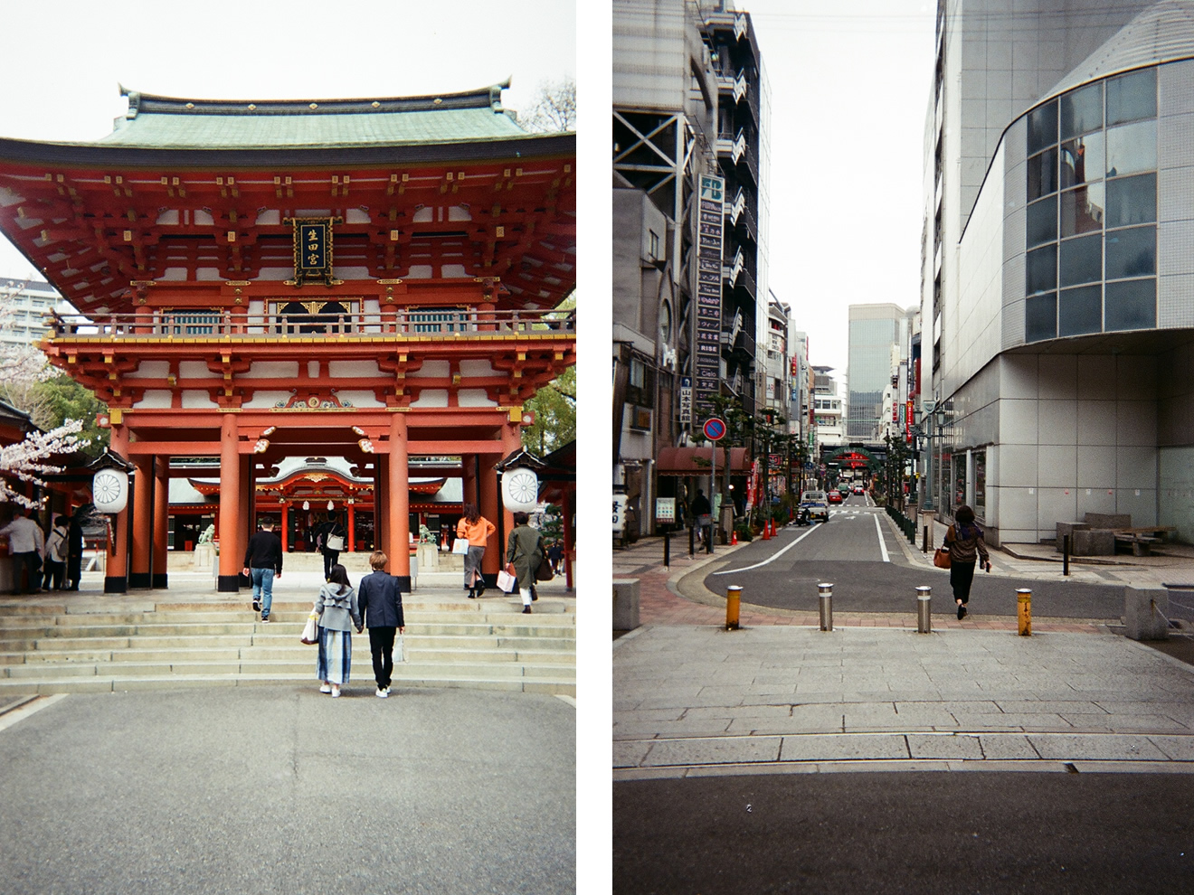 カメラ・写ルンですの撮影例の画像