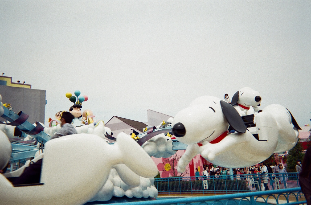 カメラ・写ルンですの撮影例の画像