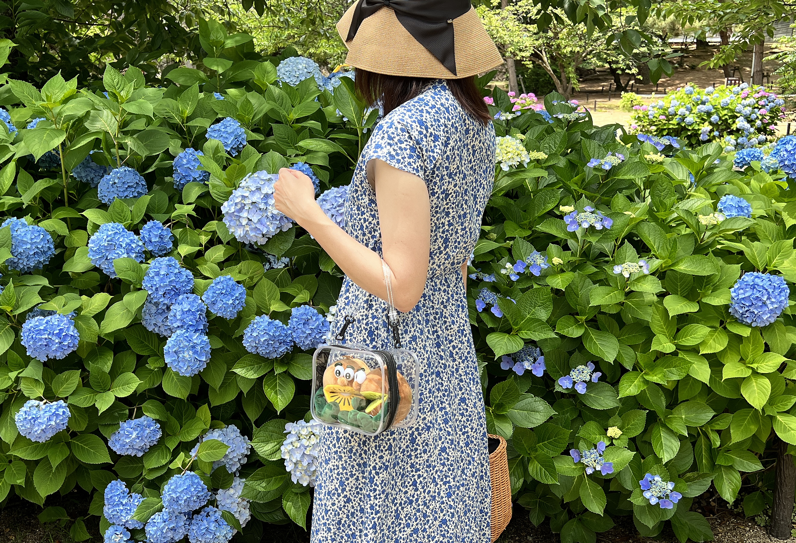 100均ダイソーの推し活グッズのブログ画像
